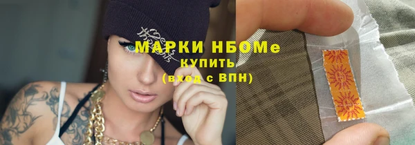 индика Алзамай