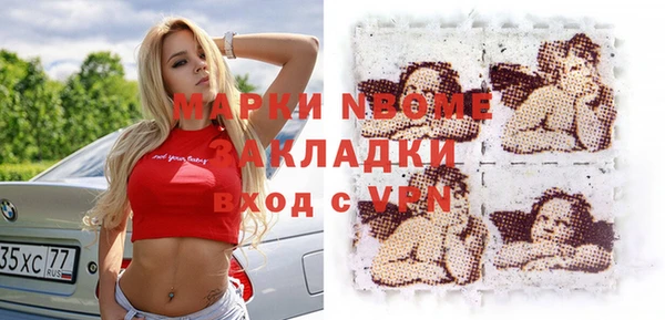 индика Алзамай