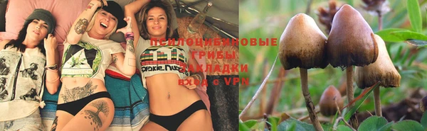 бошки Алексеевка